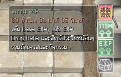 vip-system2.png